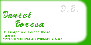 daniel borcsa business card