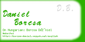 daniel borcsa business card